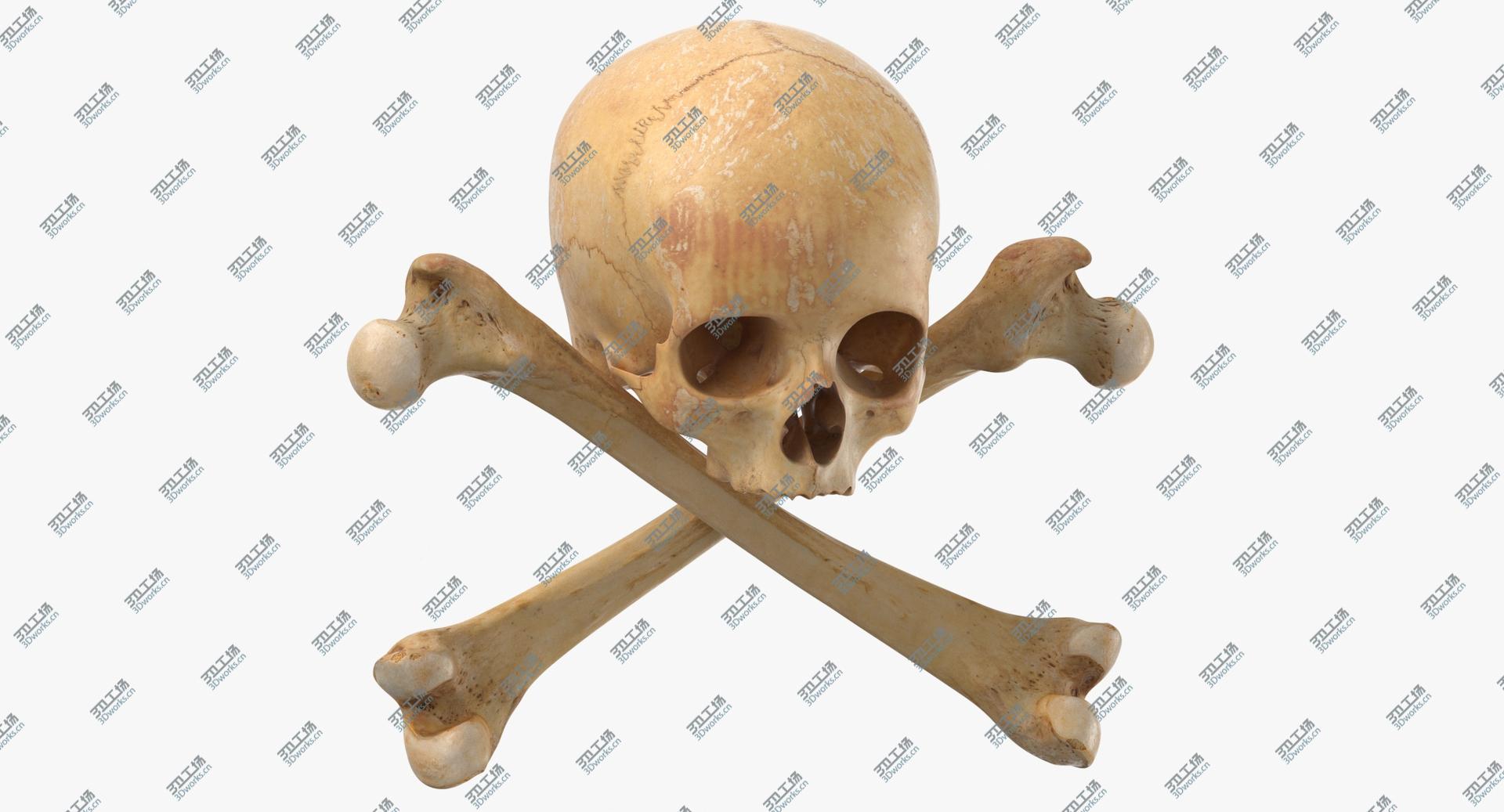 images/goods_img/202104091/3D model Pirate Skull and Bones Composition 02/2.jpg